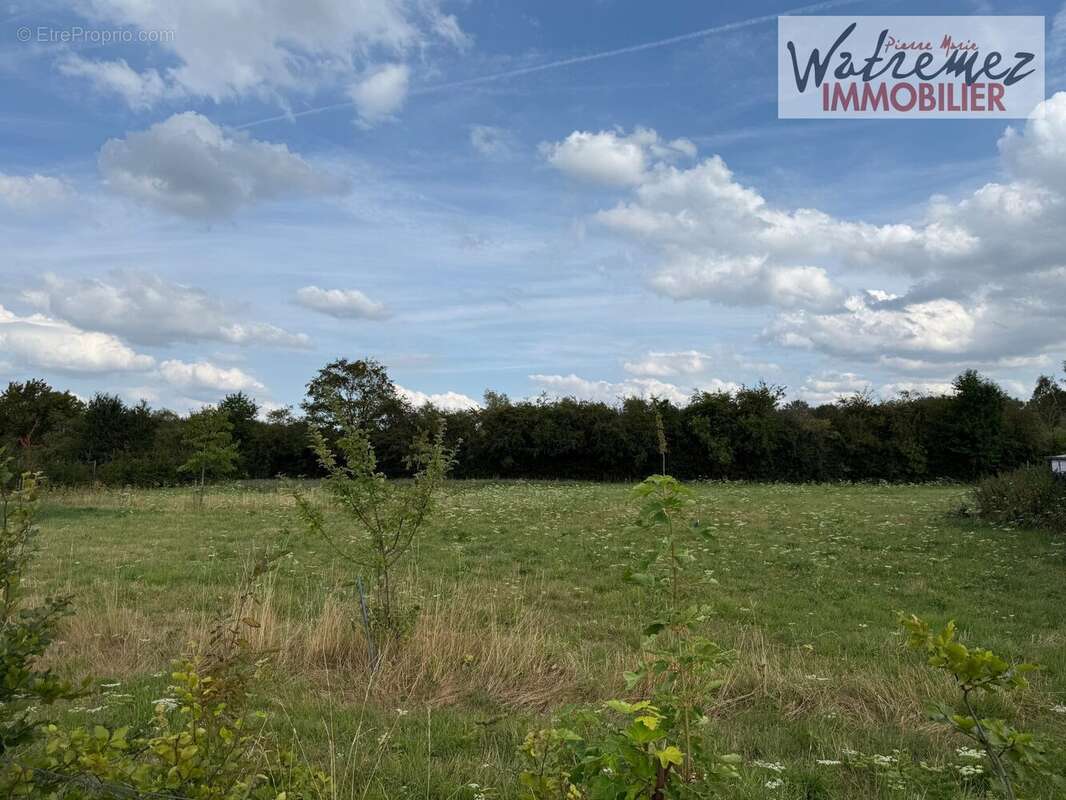 Terrain 4090 m² à Preux-Au-Bois  - photo 3