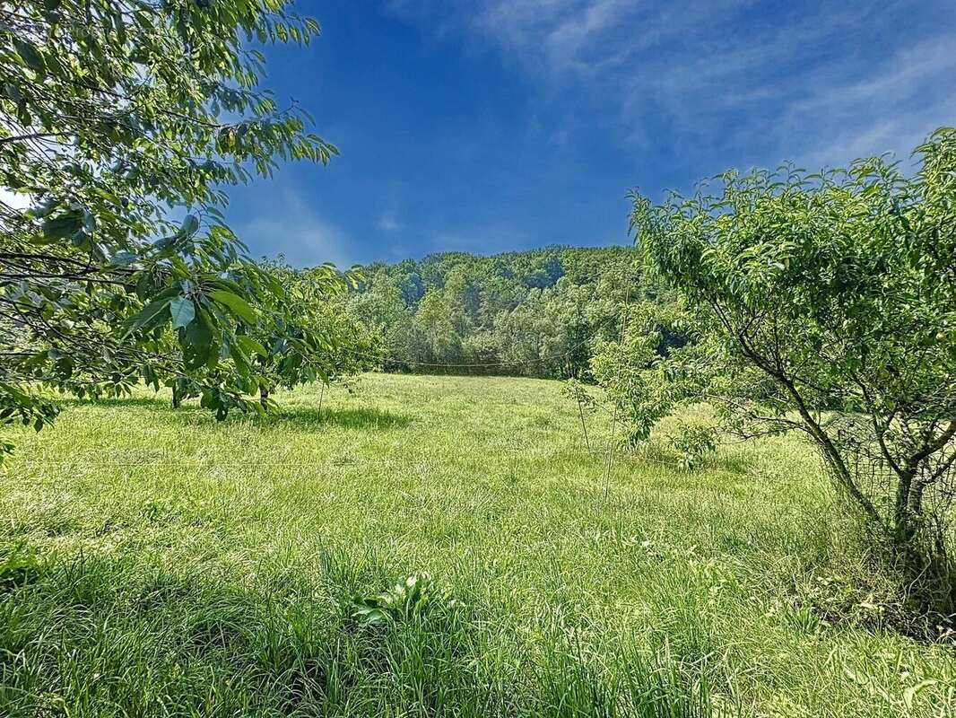 Ferme dépendances sur 1,8ha - photo 17