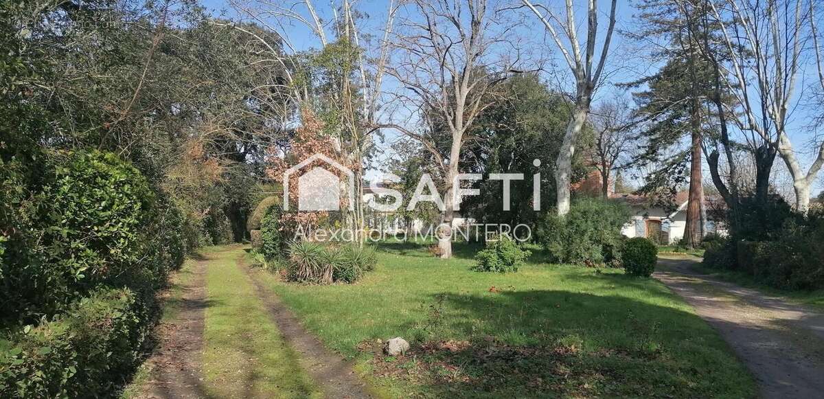 Photo 2 - Terrain à CUGNAUX