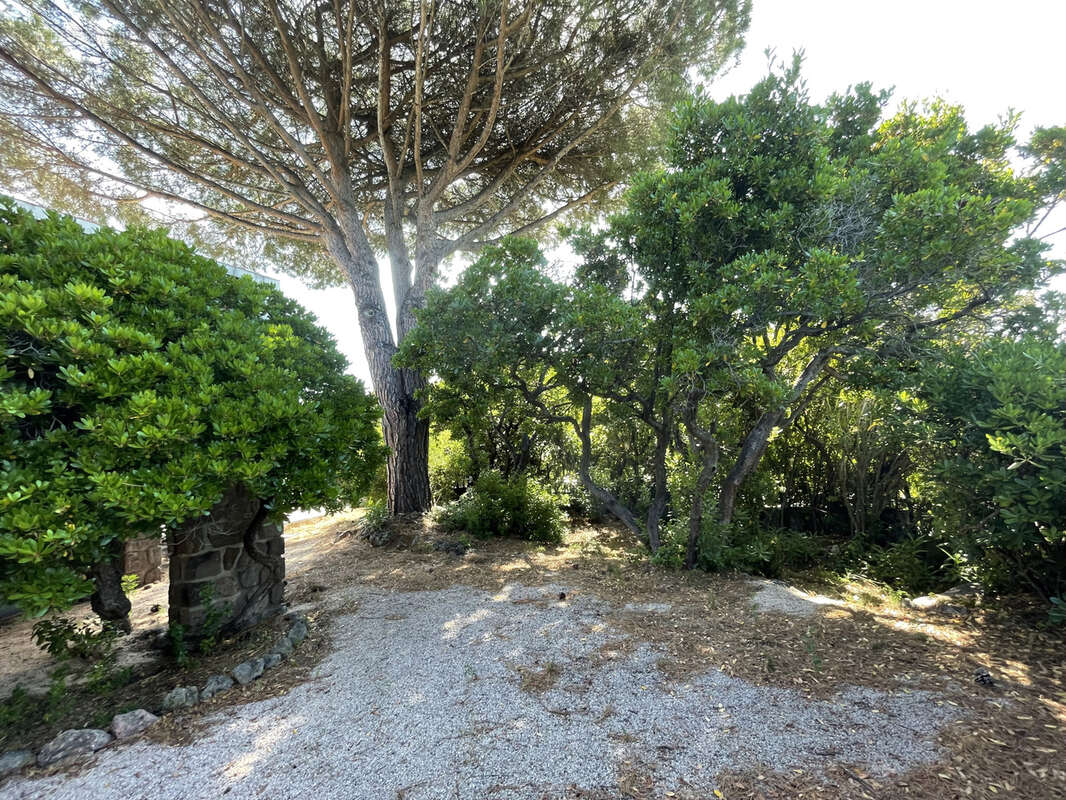 Maison à LES ISSAMBRES