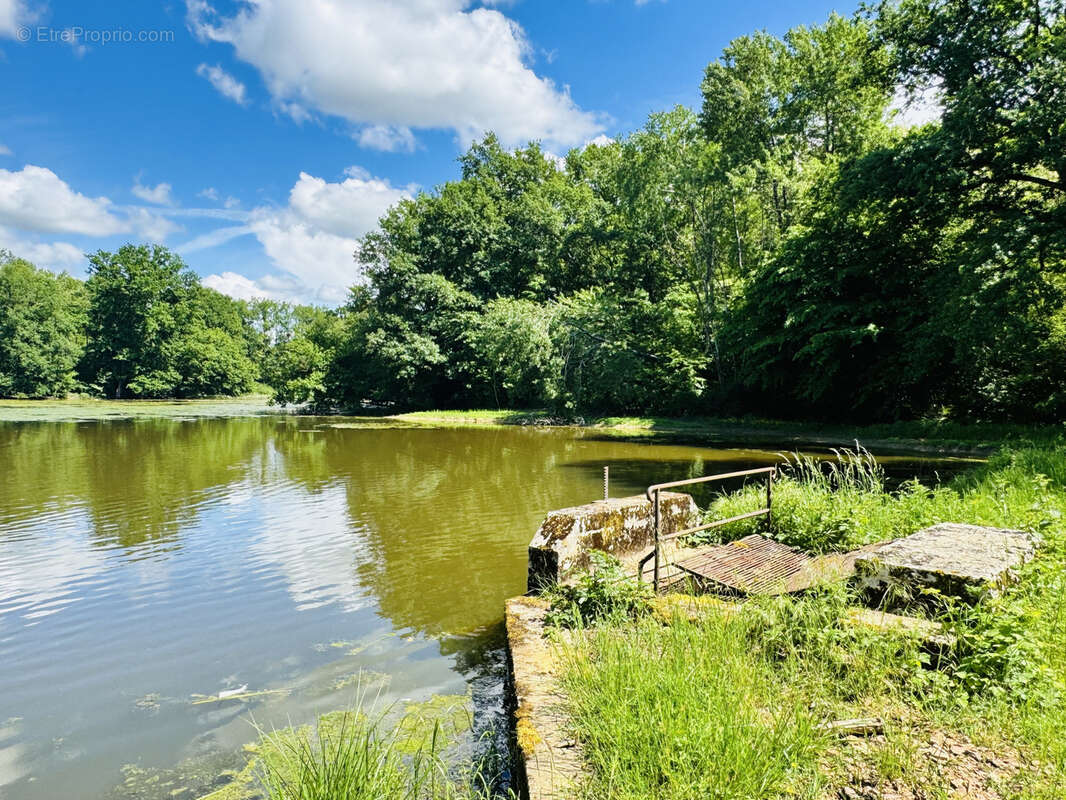 Terrain à LA CHAUX-EN-BRESSE