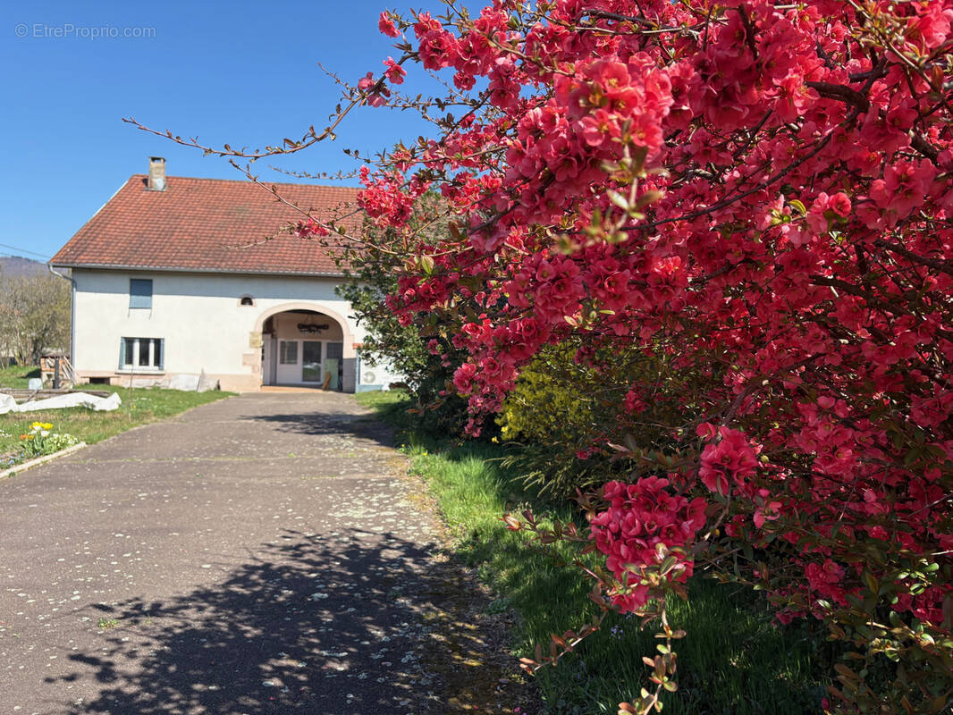 Maison à CHAMPAGNEY