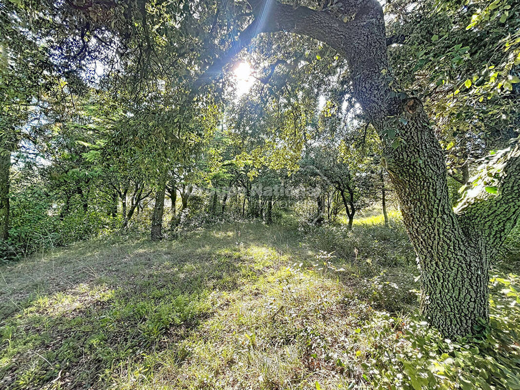 Terrain à LA GARDE-ADHEMAR