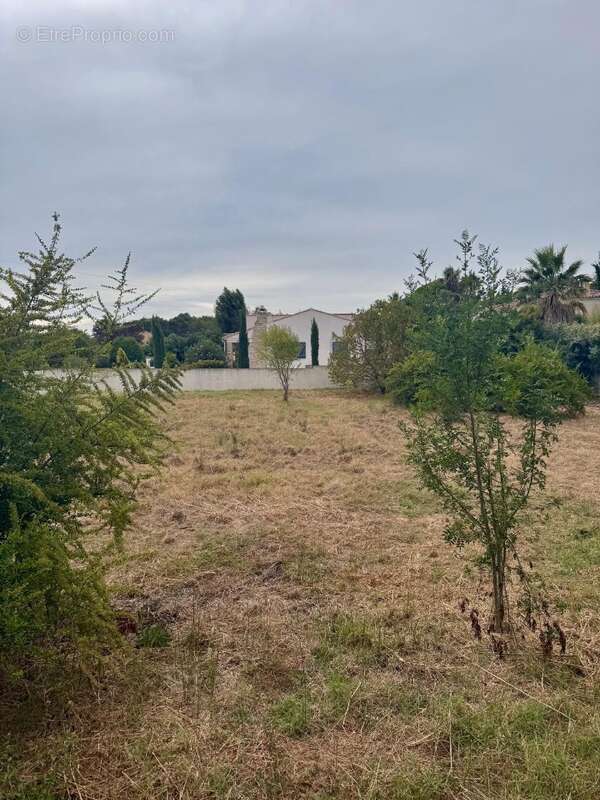 Terrain à MARSEILLE-11E