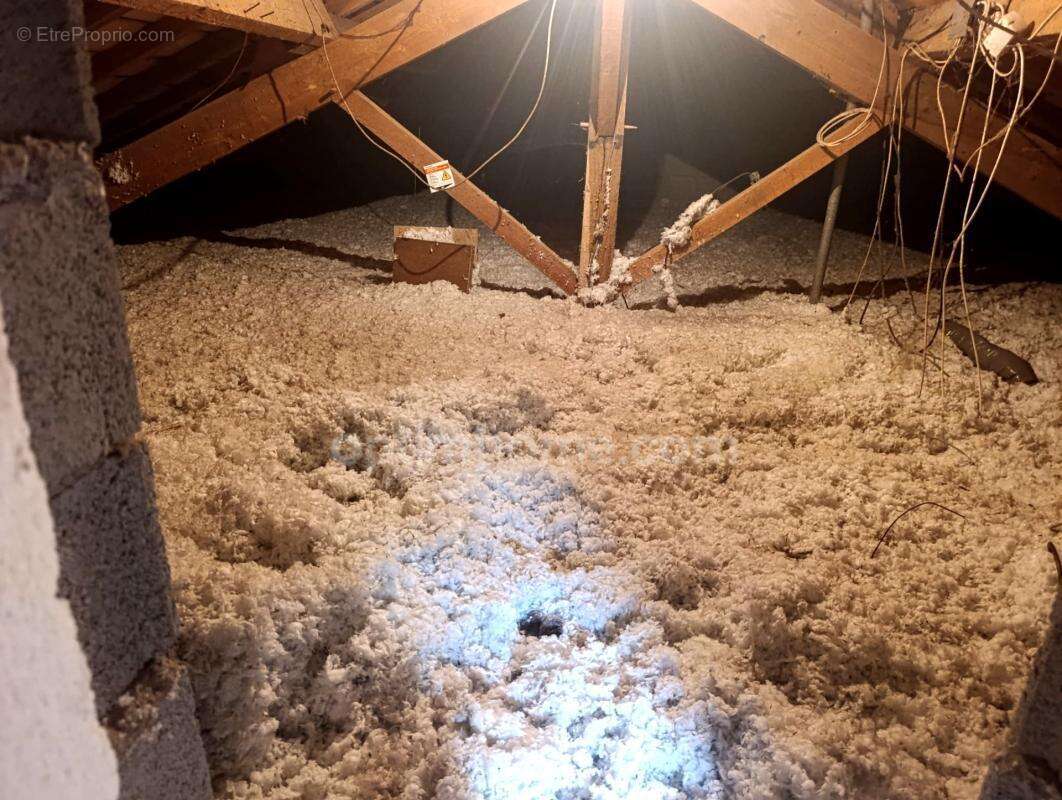Maison 8 pièces avec sous-sol et appartement indépendant – Centre-ville - photo 13