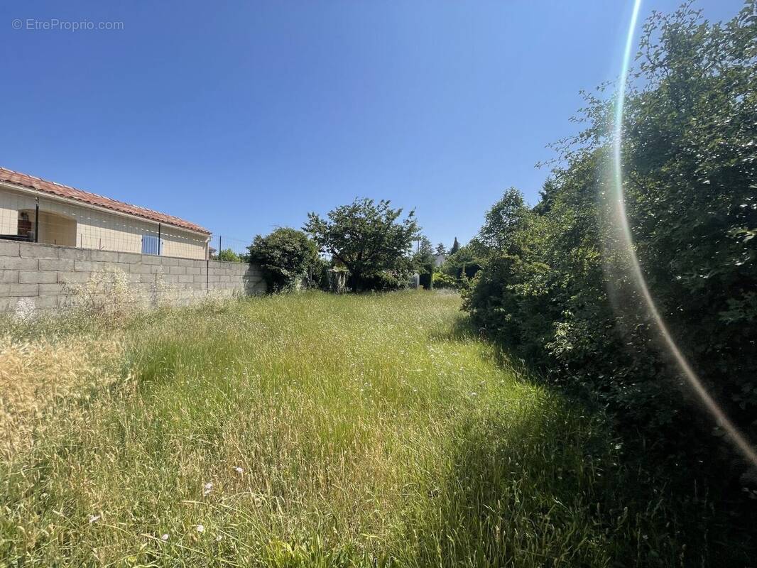 Terrain à ENTRAIGUES-SUR-LA-SORGUE