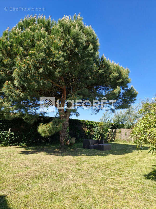 Maison à SAINT-GEORGES-D&#039;OLERON