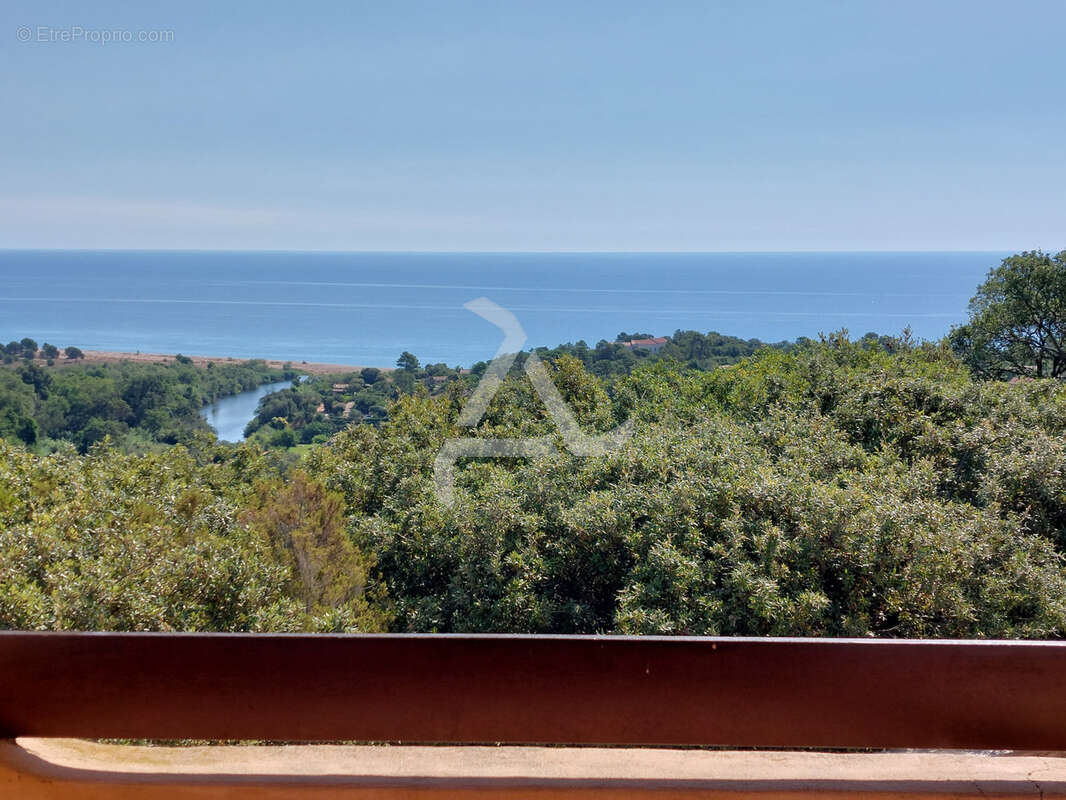 Maison à PORTO-VECCHIO