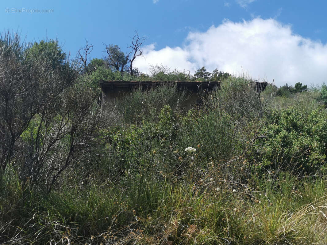 Terrain à BREIL-SUR-ROYA
