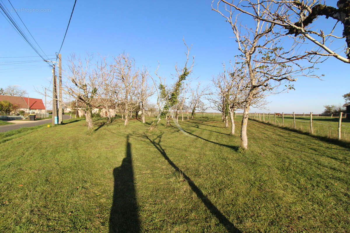Terrain à MONTEAUX