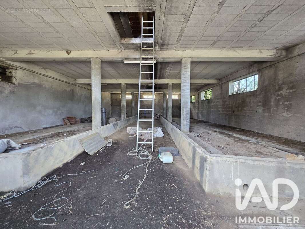 Appartement 500 m² à Amance  - photo 3