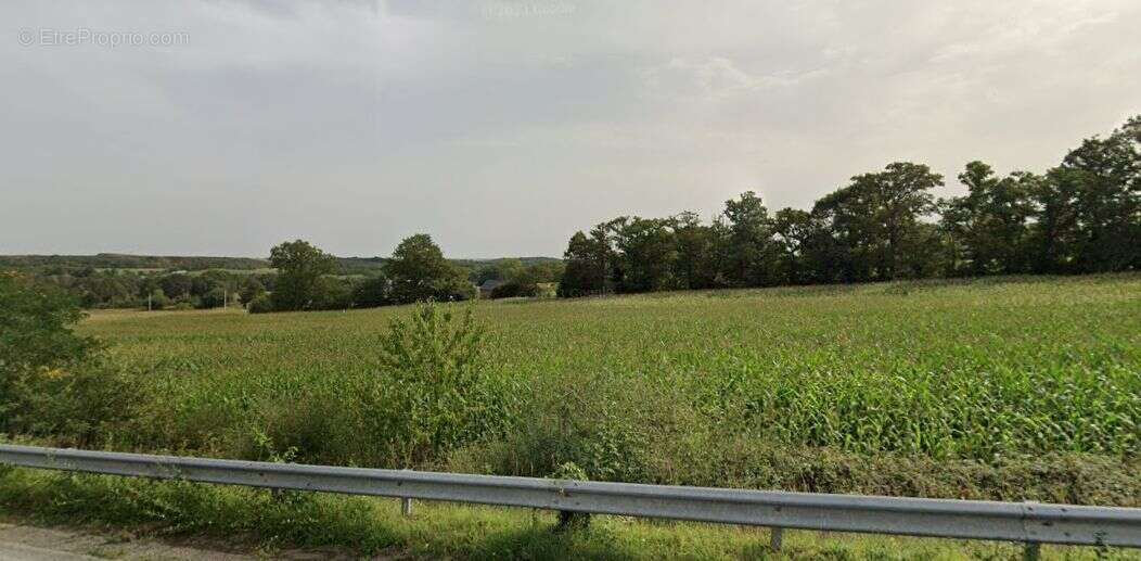 Terrain à MARTIGNE-FERCHAUD