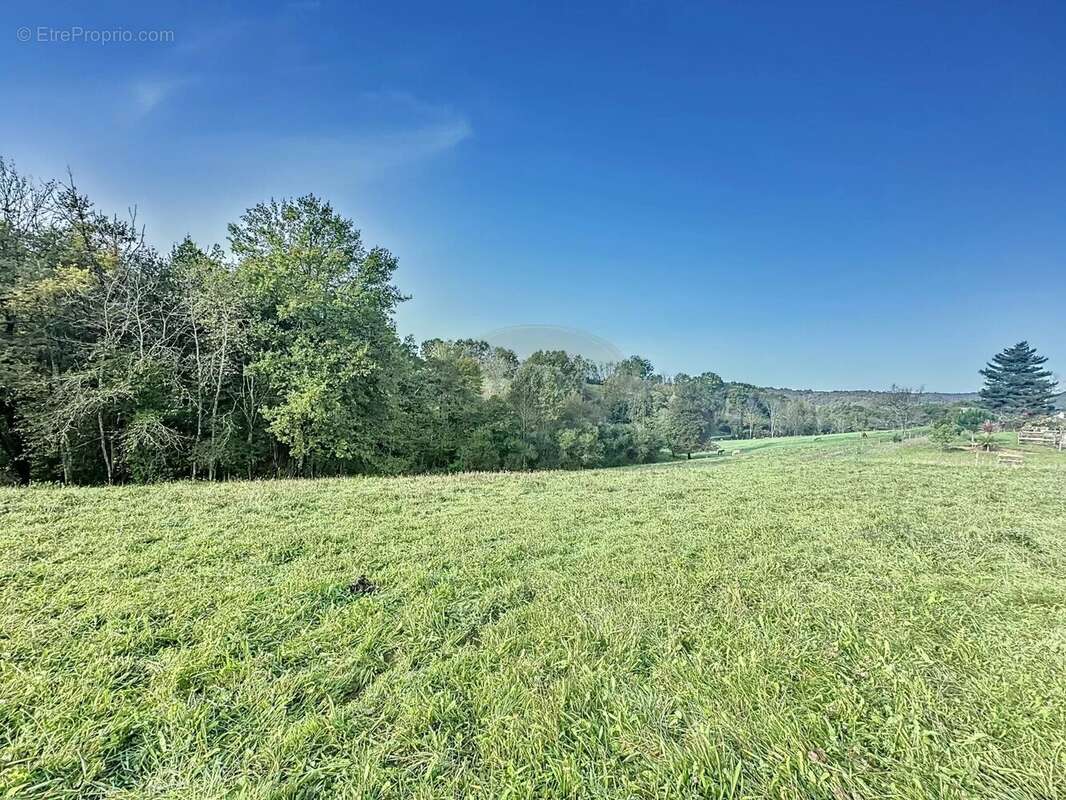 Terrain à LANESPEDE