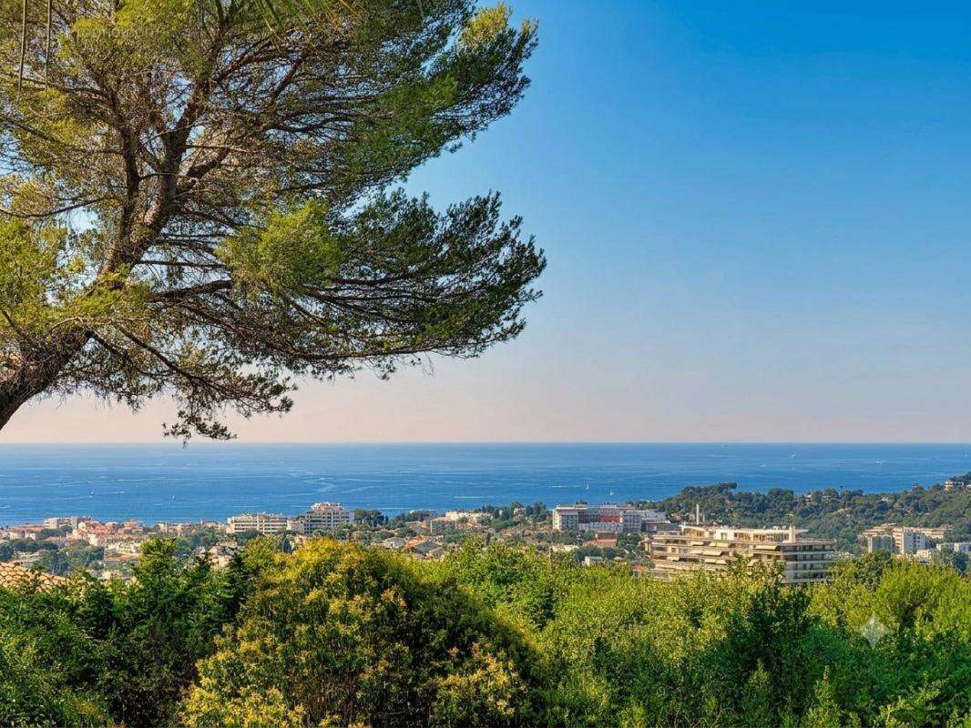 Maison à MOUGINS