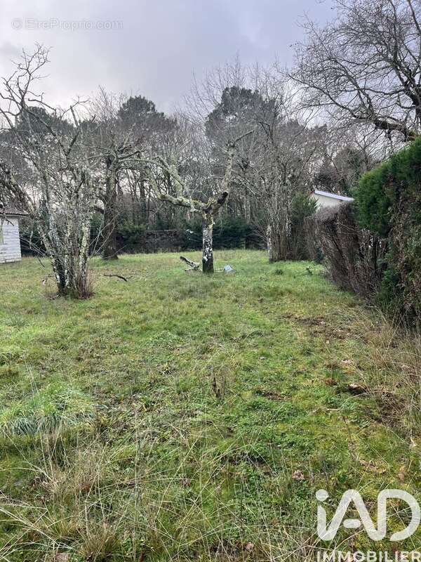 Photo 4 - Terrain à GUJAN-MESTRAS