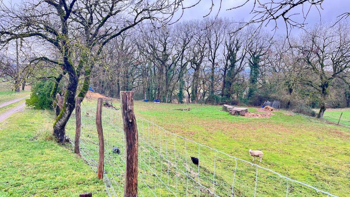 Maison à SAINT-BENOIT-DE-CARMAUX