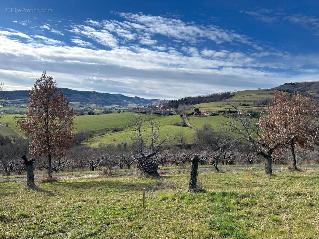Terrain à SAINT-ROMAIN-EN-JAREZ