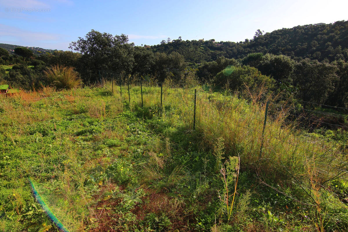 Terrain à LES ISSAMBRES