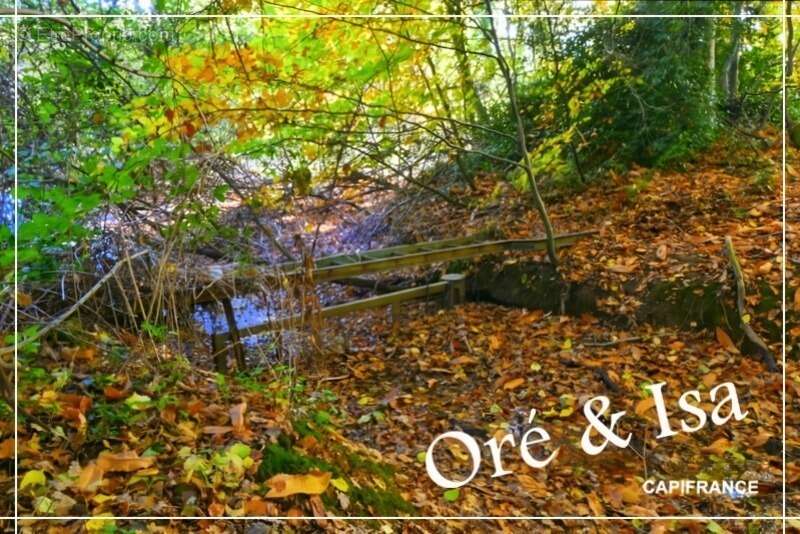 Terrain à SAINT-DESIRE