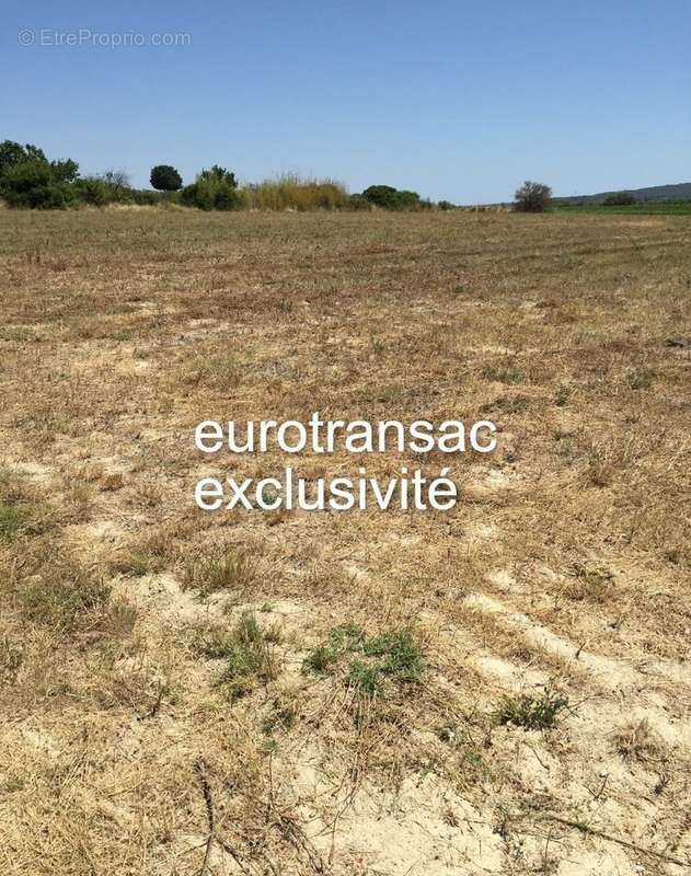 Terrain à MONTBAZIN