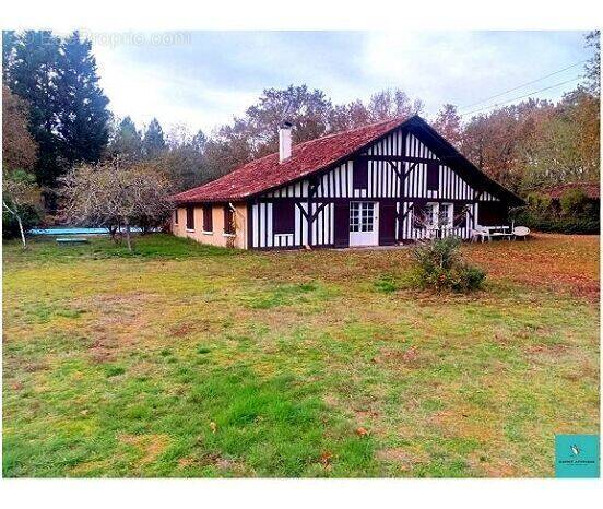 Photo 1 - Maison à MONTFORT