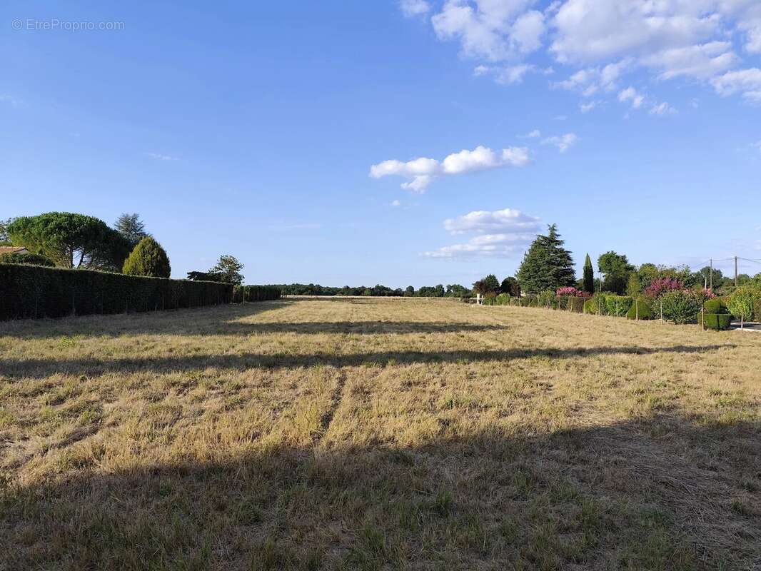 Terrain à SAINT-GEORGES-ANTIGNAC