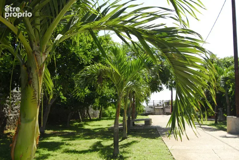Parcelle Mont Roquefeuil - photo 3