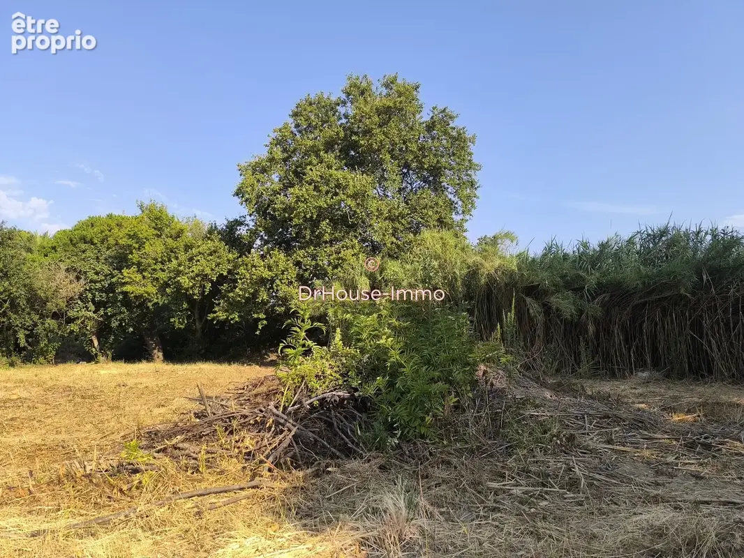 Terrain 5 661 m² à vendre à Bompas (66430) - photo 12