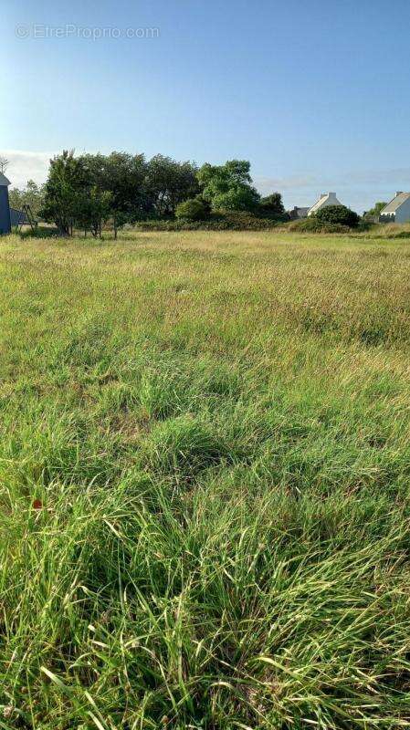Terrain à KERLOUAN