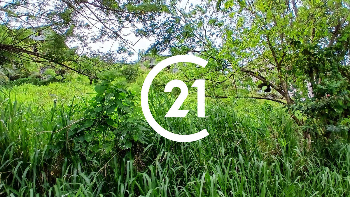 Terrain à SAINTE-LUCE