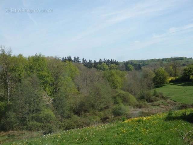 Maison à BUSSIERE-POITEVINE
