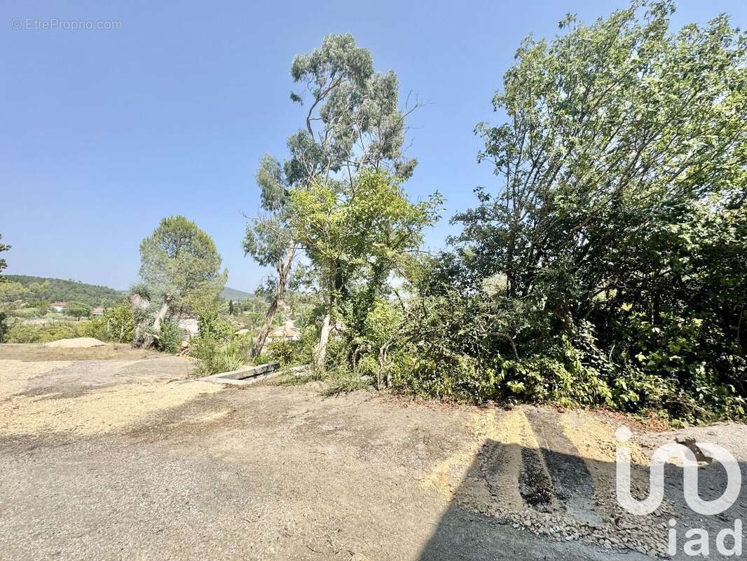 Photo 3 - Maison à SAINT-AMBROIX