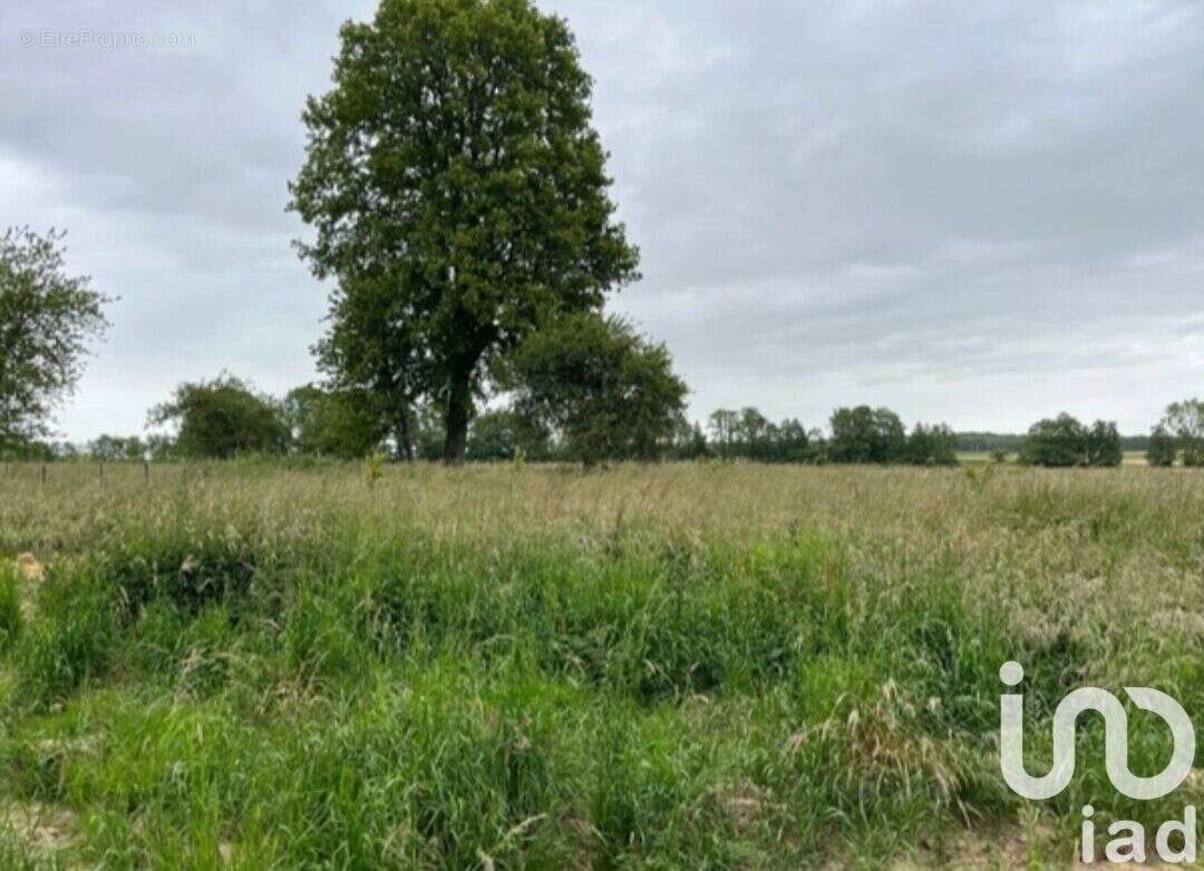 Photo 2 - Maison à SAACY-SUR-MARNE