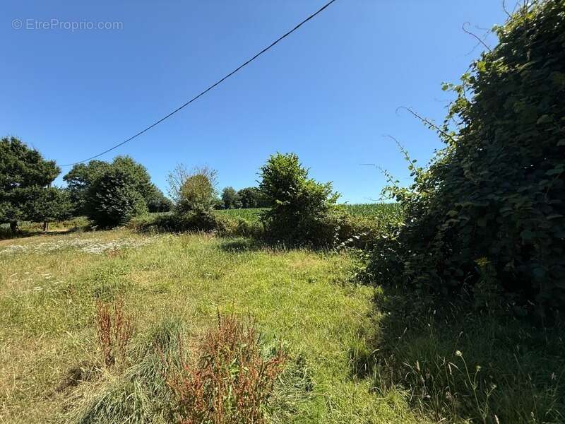 Longère en pierre – 150,76 m² – 6 pièces – 5 chambres – Terrain 6 345 m² – Dépendances – Hangar – Sous-sol complet - photo 25
