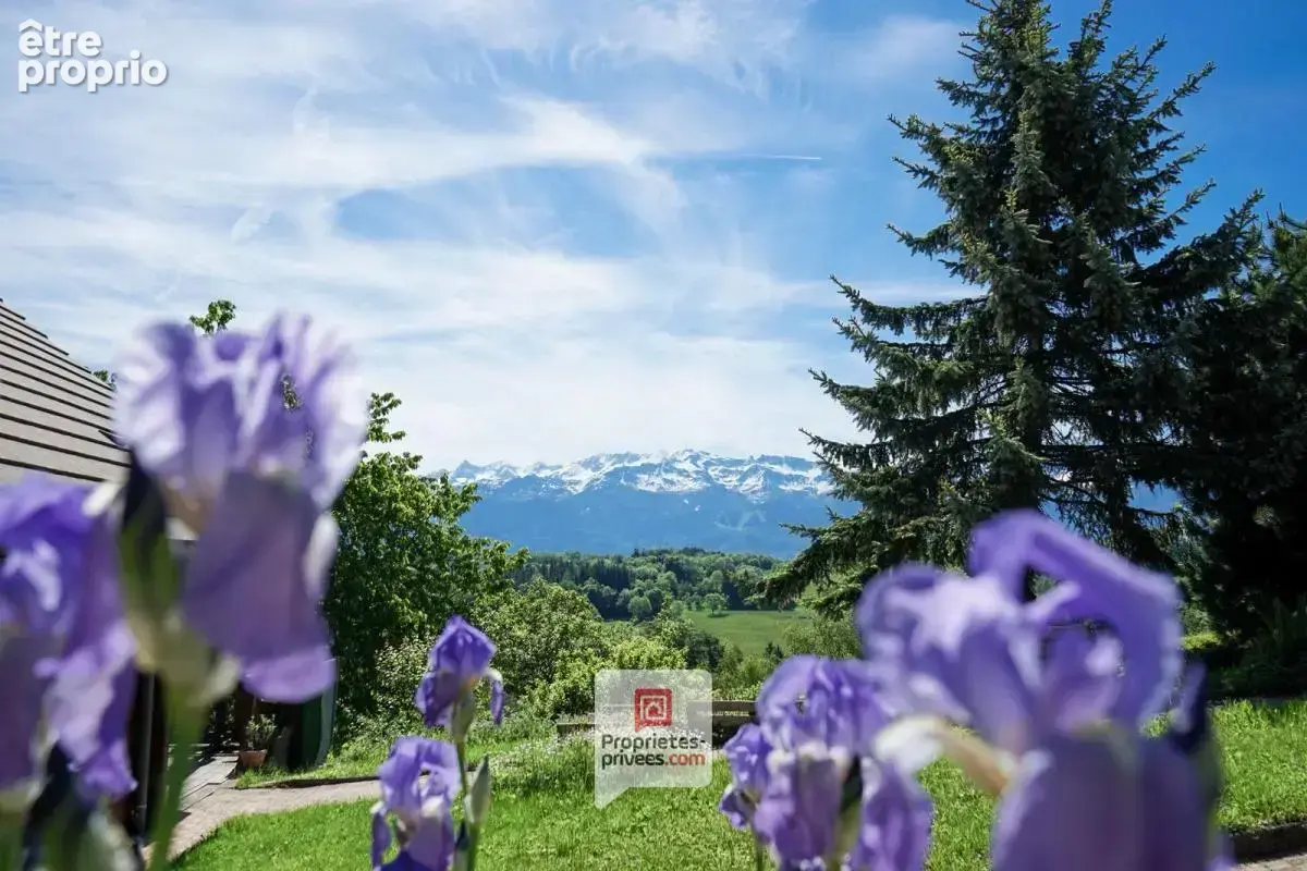 Plateau des Petites Roches (38660) - Chalet en madriers 4 chambres+ studio + carport + jardin - photo 3
