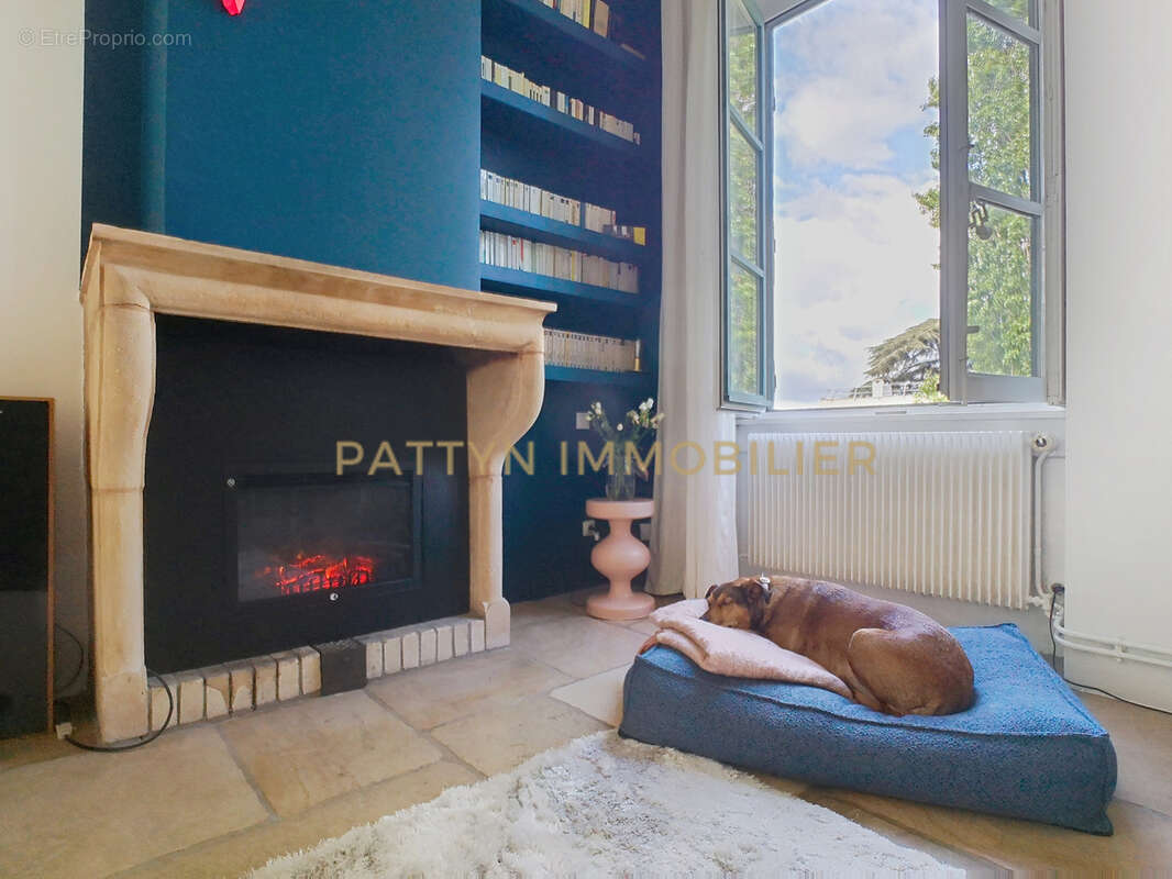 Appartement à NEUVILLE-SUR-SAONE