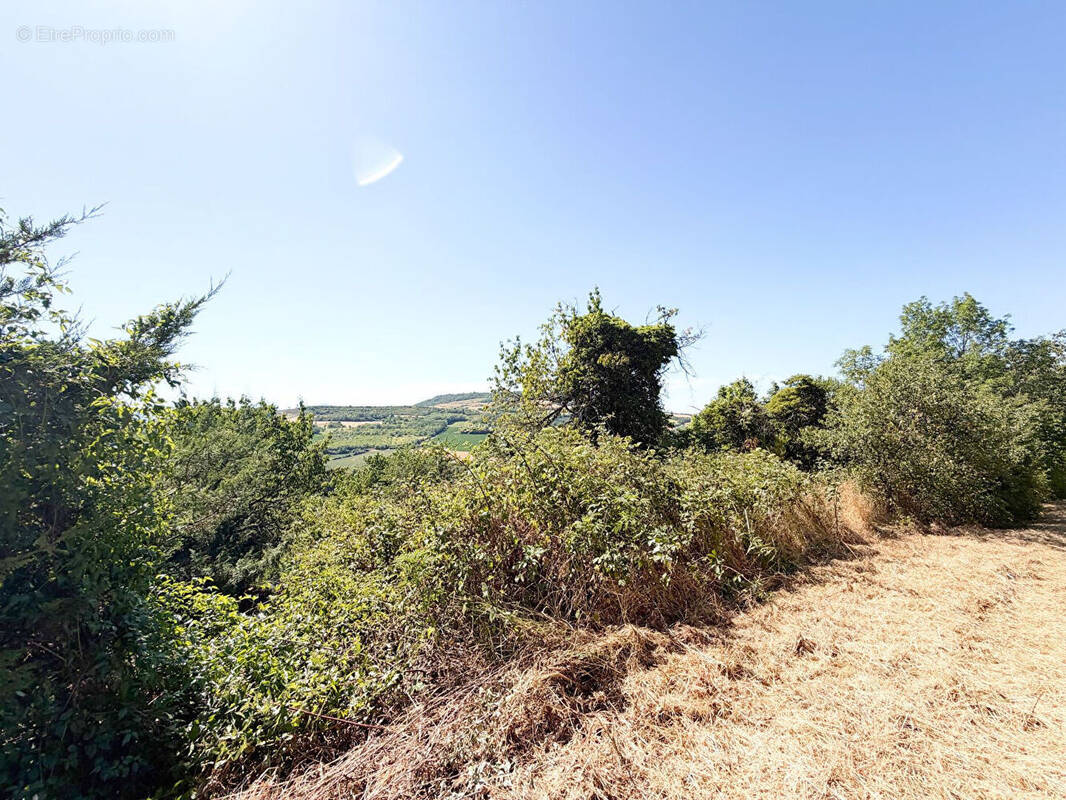 Terrain à CHAURIAT