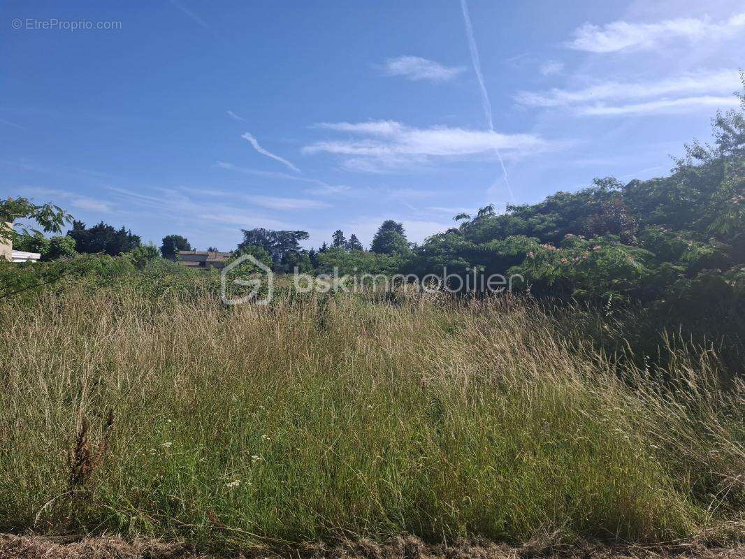 Terrain constructible viabilisé de 7 837 m² en zone UC – Fort potentiel d’aménagement avec maison existante - photo 3