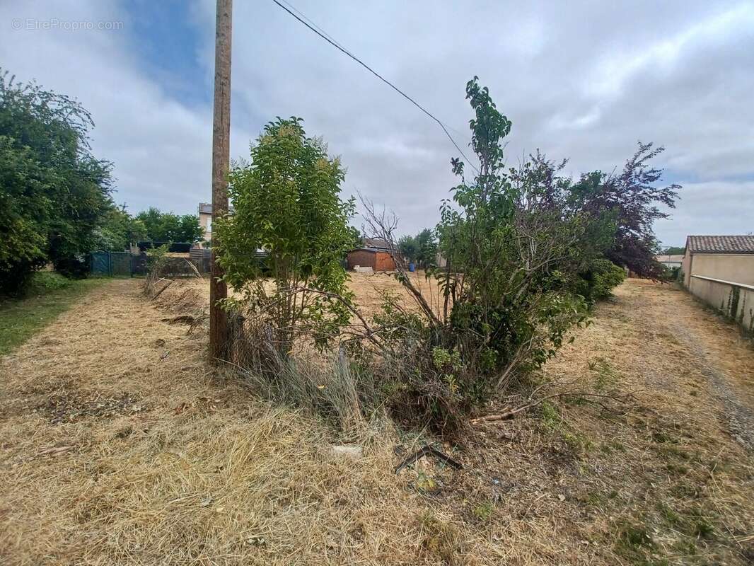 Maison 45 m² à Gaillac  - photo 3