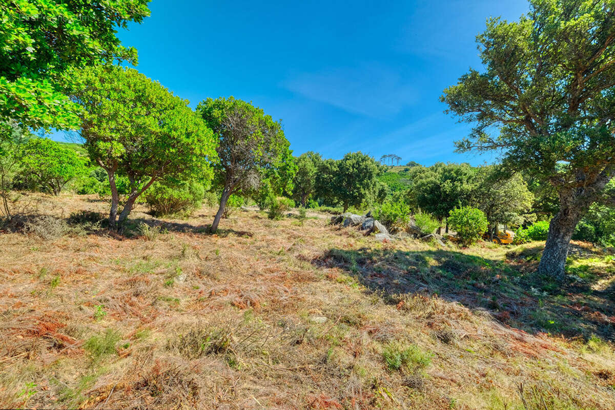 Terrain à BASTIA