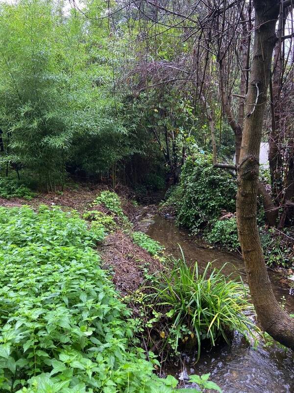 Maison à BELGENTIER