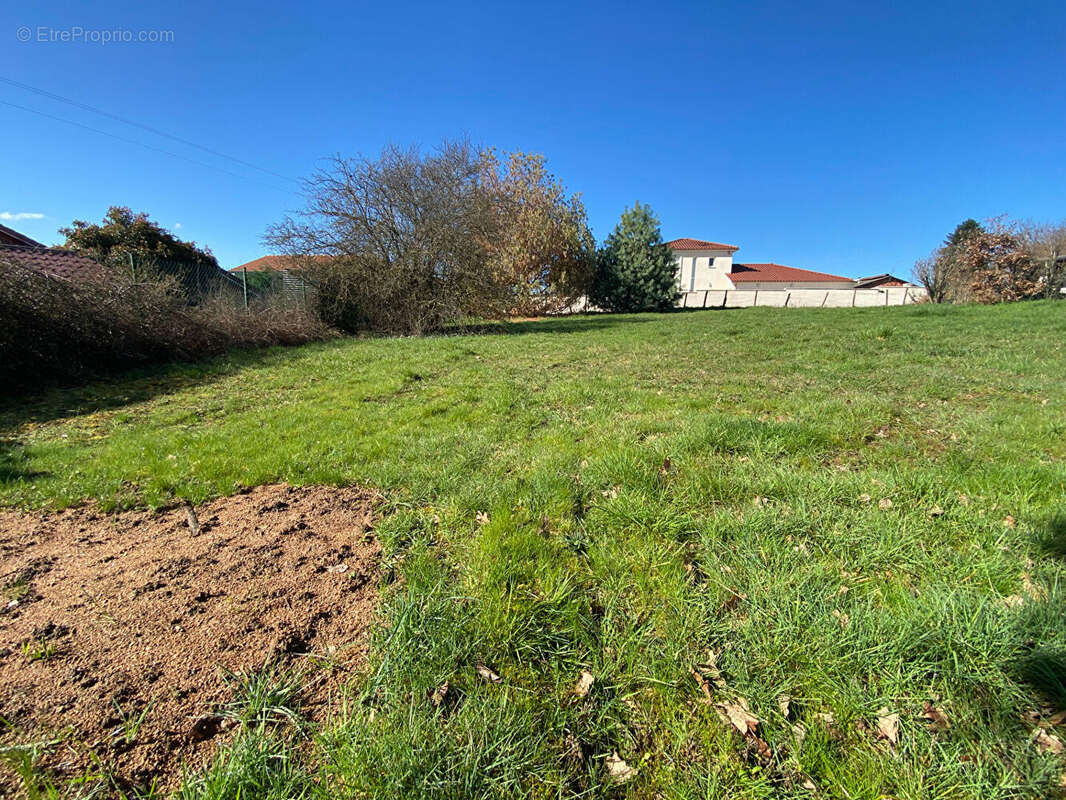 Terrain à LES OLMES