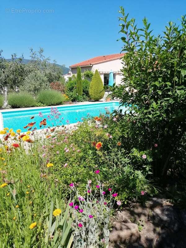 Maison de caractère entièement rénovée avec gîte, chambre d'hôtes, piscine et revenus locatifs - photo 23