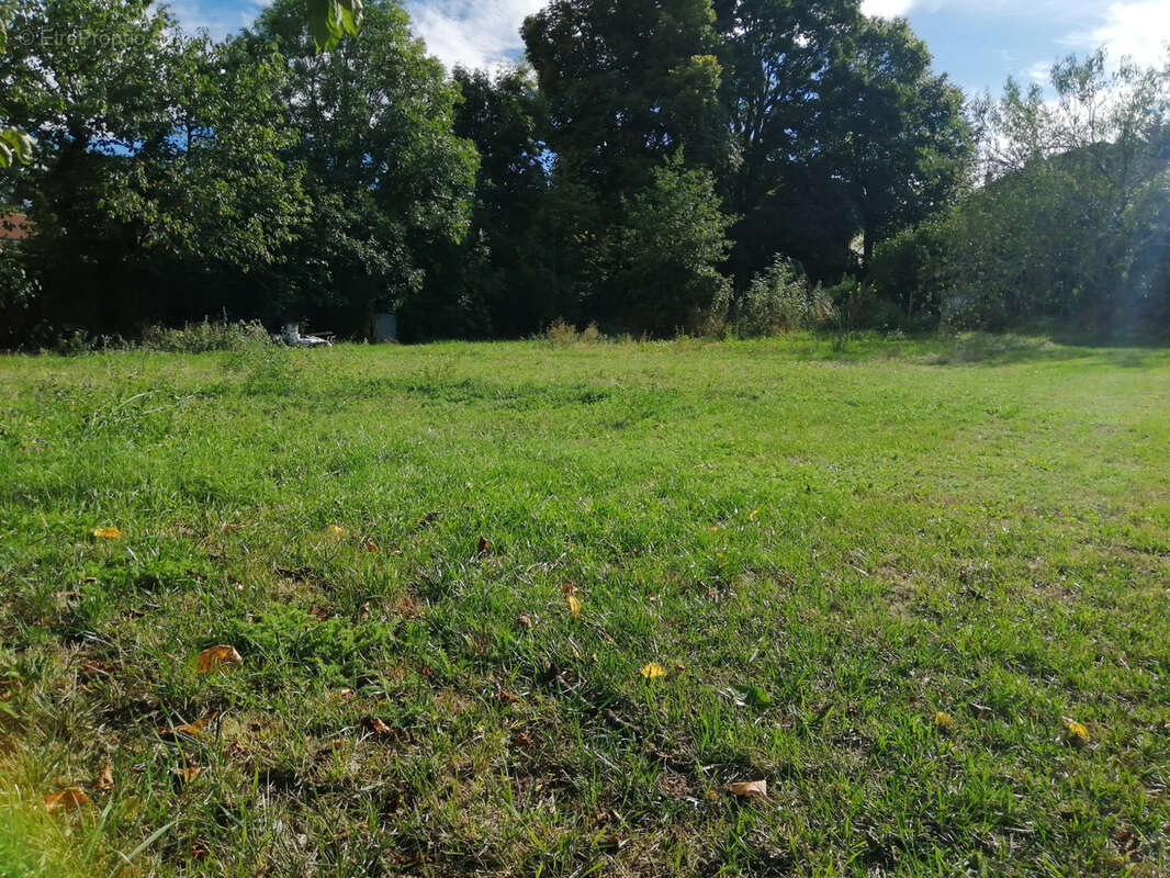 Terrain à MALAUZAT