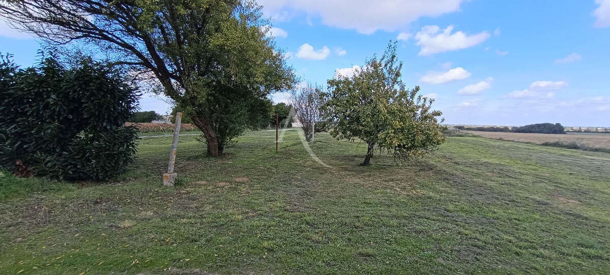 Maison à PORT-DES-BARQUES