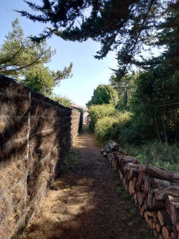 Nouvelle Propriété Coup de cœur - photo 22
