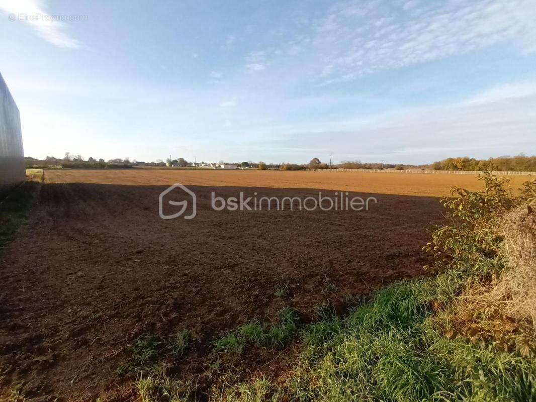  terrain d’activité – 9 653 m² – zone aux – thors (17) - photo 6