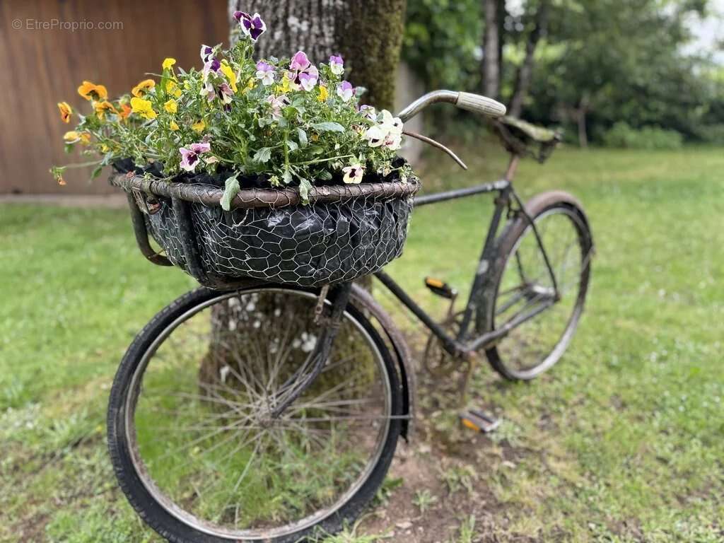 Maison à LA SALVETAT-PEYRALES