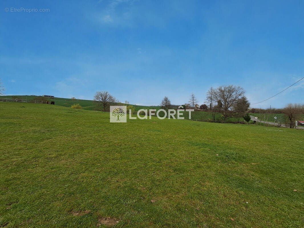 Terrain à VILLEMUR-SUR-TARN