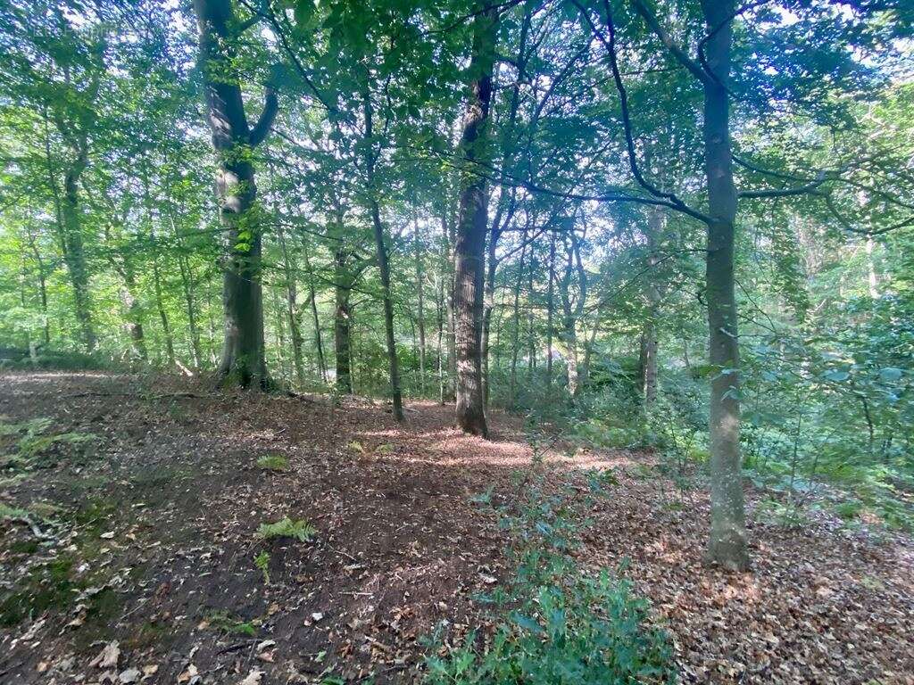 Maison à MONTFORT-L'AMAURY